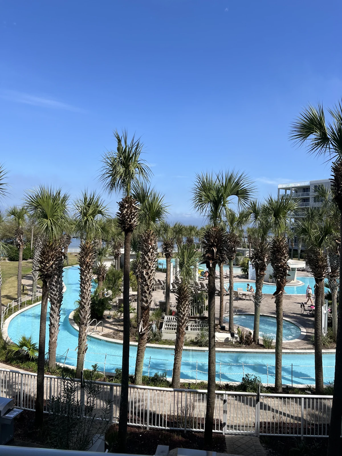 Palm trees and a pool overlooking the coast, from the original Your Hosts section